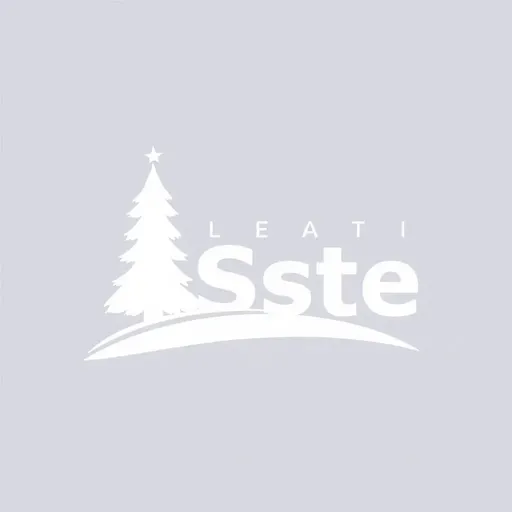 Definición del logotipo y marca registrada de ISSSTE