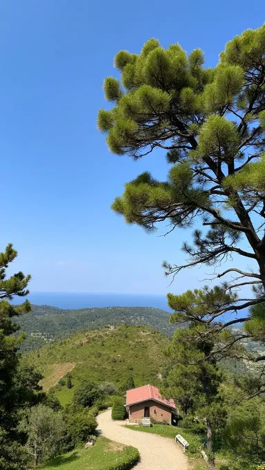 La colina pequeña: Una montaña o elevación diminuta