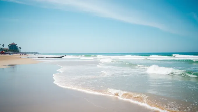 Arrière-plan de plage apaisante avec mouettes volant