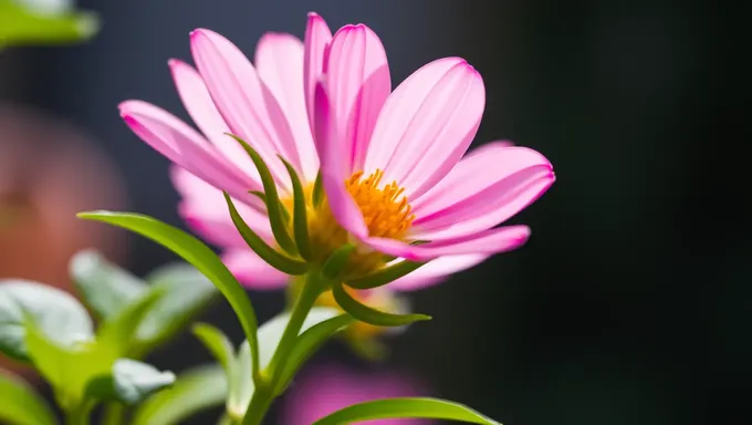 Fleur de fond : La beauté discrète de la nature