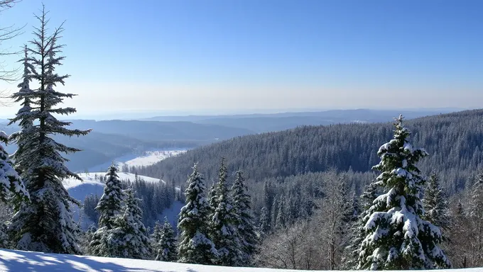 ウィンターの背景：静かな雪景色に樹木と氷結の空気