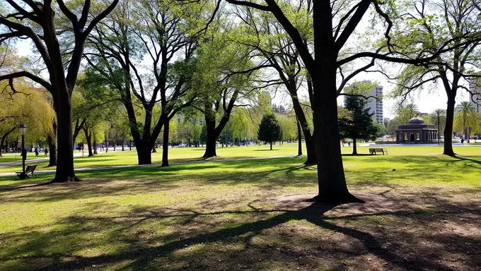 公園のバックグラウンド環境を理解する