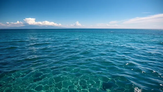 新しい海の背景が海の秘密を明かす