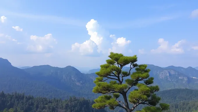 背景の景色でシーンの設定を説明