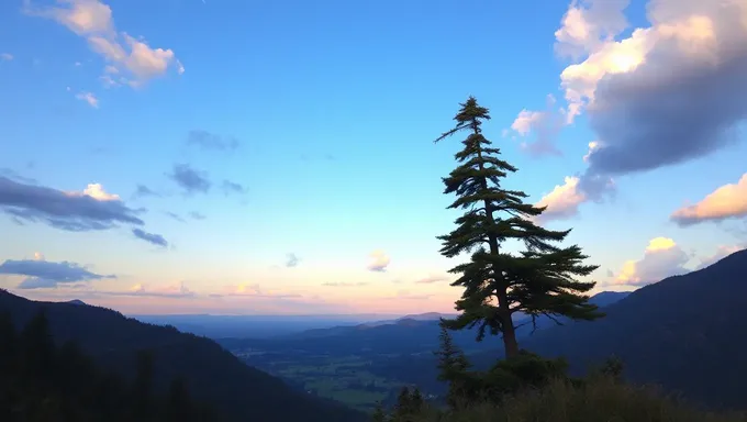 自然の静けさの美しい背景