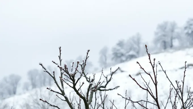 2月背景：2月の文化的意義を探索する