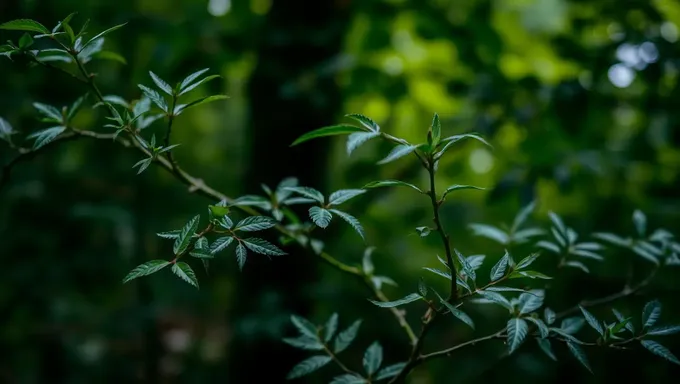 6.Understanding the Background Nature of Ecosystems