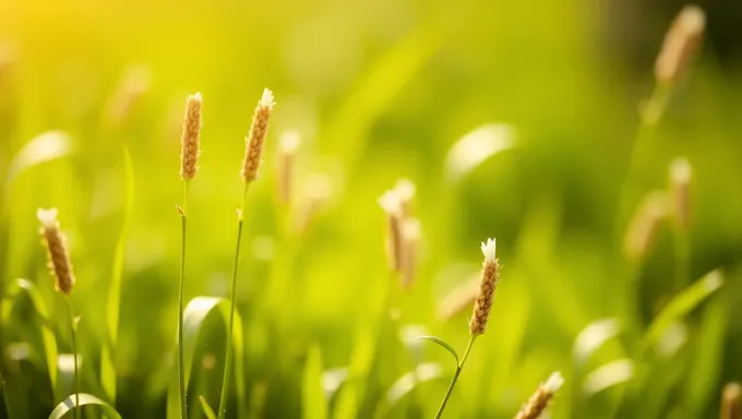 Gōdo Firingu BākuGurōn: Positibu Emōshonaru Atmosferā