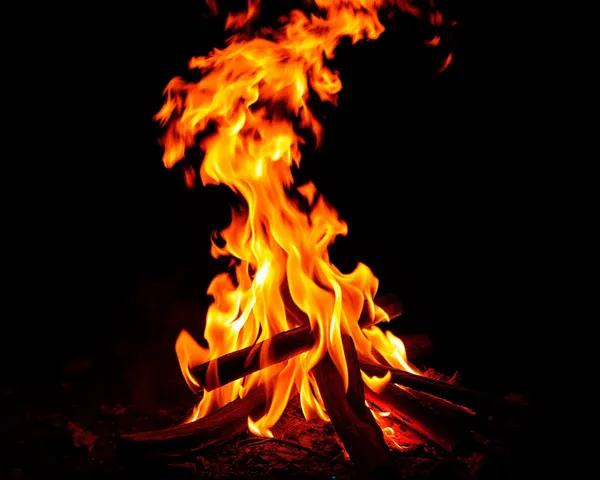 A Burning Fire Image in the Dark of Night