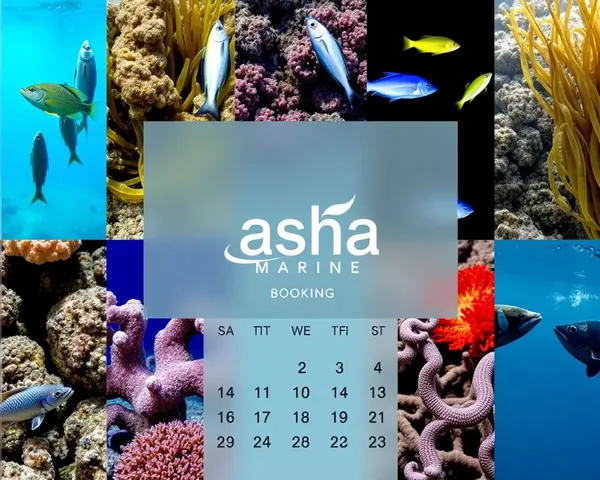 Asha Marine Digital Booking Calendar Concept
