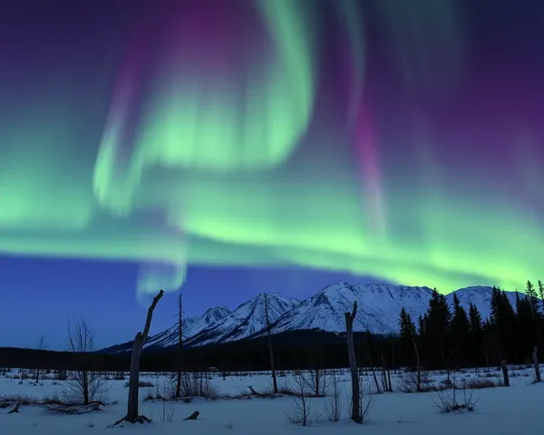 Aurora Borealis Images Showcase Nature's Spectacular Display