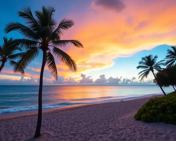 Beautiful Beach with Palm Trees and Sunset on YCP