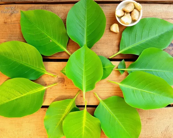 Bel Patra Leaves on Rustic Wooden Table in Decorative Pattern