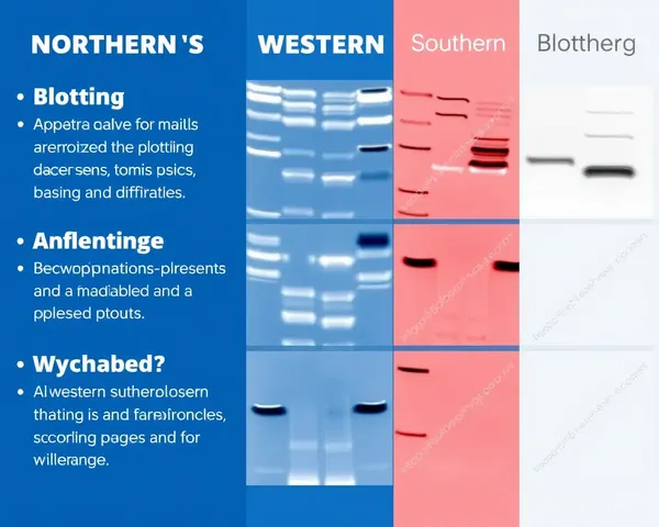 Blotting Techniques Comparison: Northern, Western, and Southern