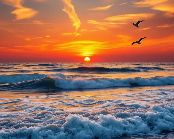 Breathtaking Sunset over Ocean with Waves and Seagulls Background