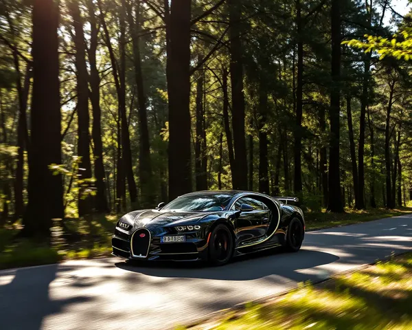 Bugatti Centodieci Drives Through Dappled Forest
