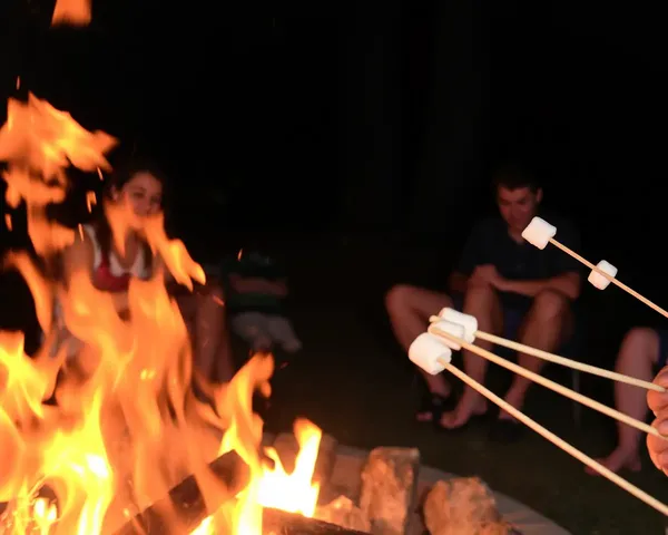 Campfire Blaze with Toasting Marshmallows PNG