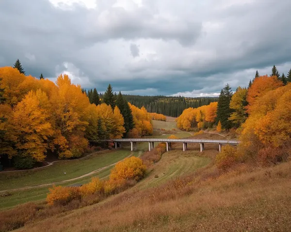 Captivating Fall Images to Admire and Enjoy