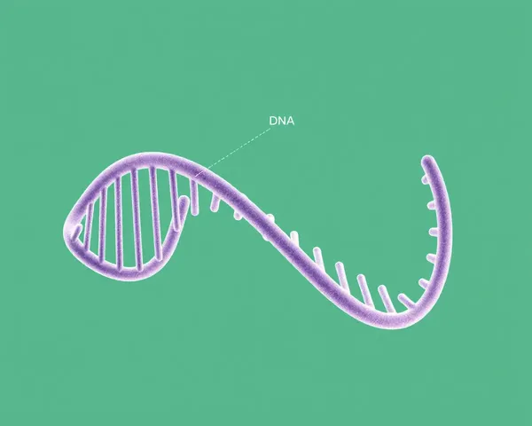 Circular DNA Molecule Scientific Illustration PNG