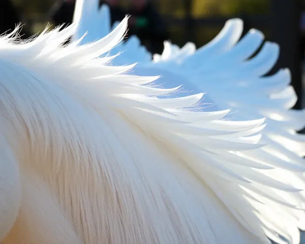 Close-Up of Pegasus's Iridescent Wings Reflecting Sunlight