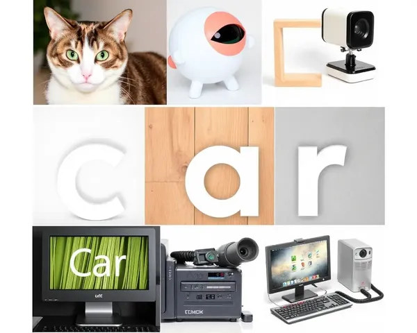 Collage of C-Themed Objects on Colorful Wallpaper Pattern