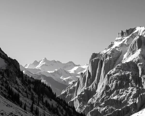 Contrasting Images of White and Black Colors