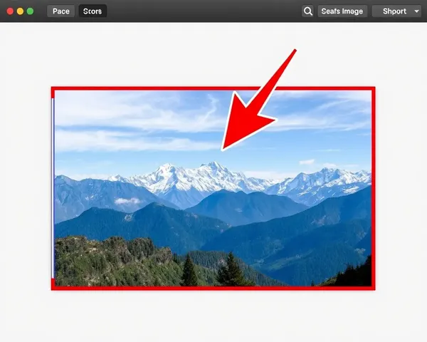 Crop an Image on Mac: A Step-by-Step Guide