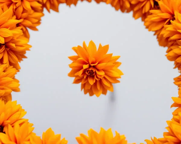 Delicate Gajra Made from Fresh Marigold Flowers