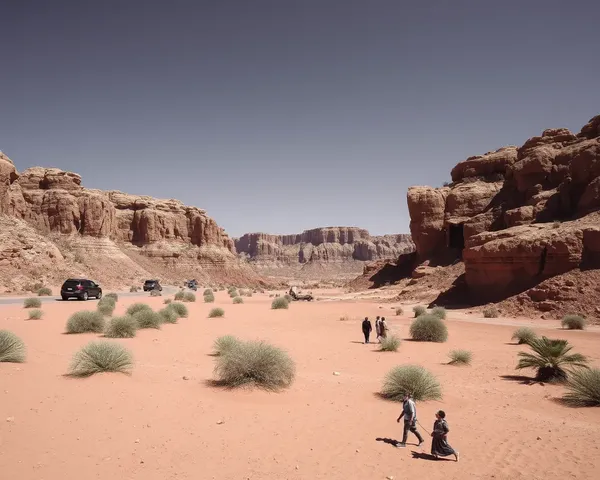 Desert Images: Vivid Pictures of Sandy Dunes and Cacti