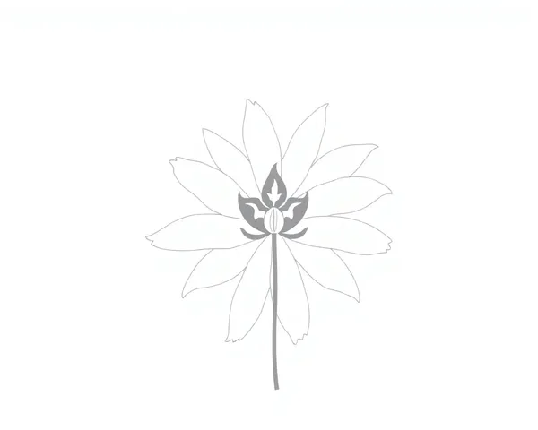 Detailed Flower Outline Images for Designs