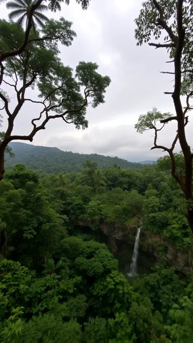 Dramatic Rainforest Canopy with Towering Trees and Vines