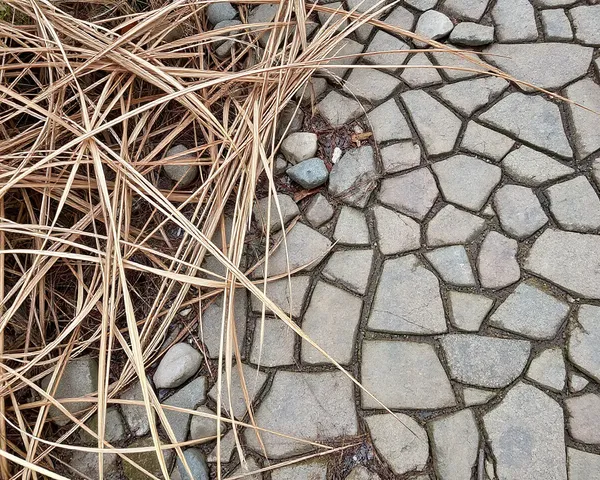 Dry Riverbed with Brown Reeds and Grey Stones