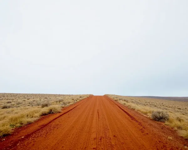 Dry Road to Barren Landscape with Yellow Grass