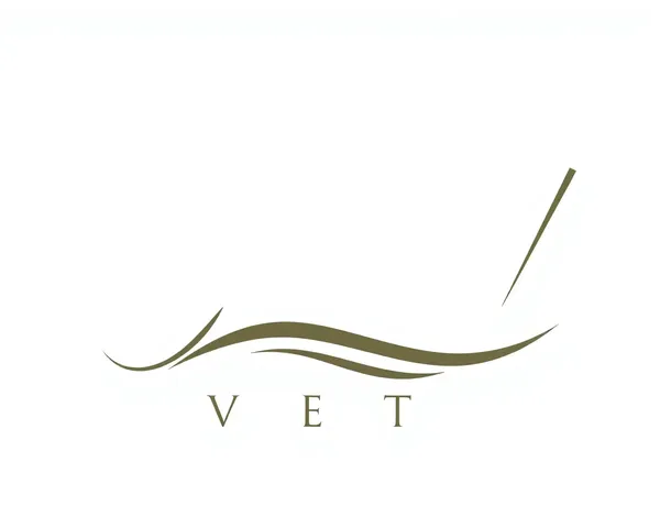 Elegant JNV Logo PNG: Stylized Letters and Texture
