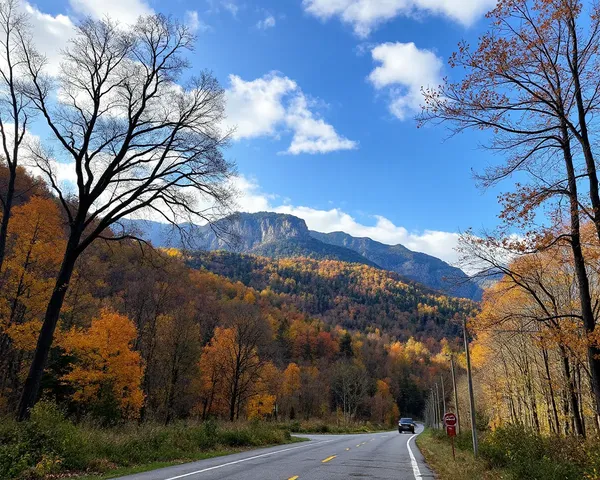 Fall Images of Nature's Vibrant Colors Abound