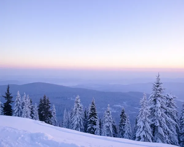 Frozen Landscape: Image of Snow and Frost