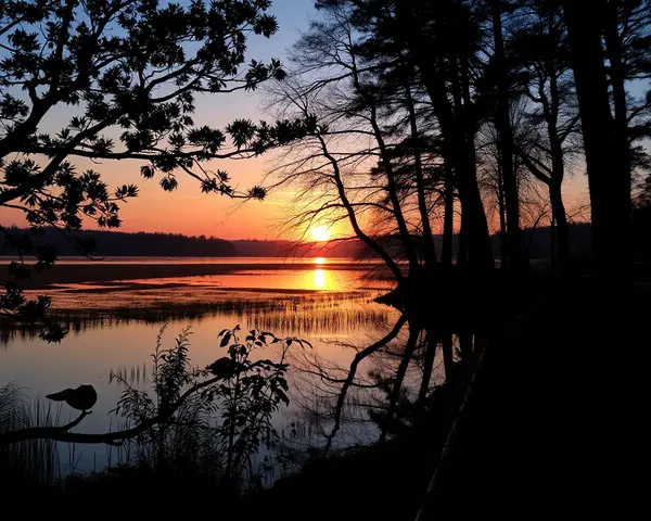Good Morning Sunrise with Nature's Splendor