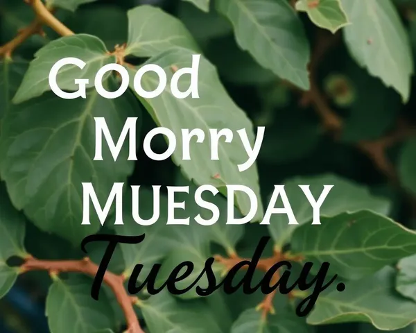 Good Morning Tuesday Images to Start the Week