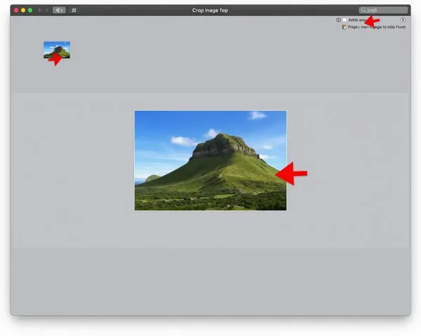 How to Crop an Image on Macintosh Computer