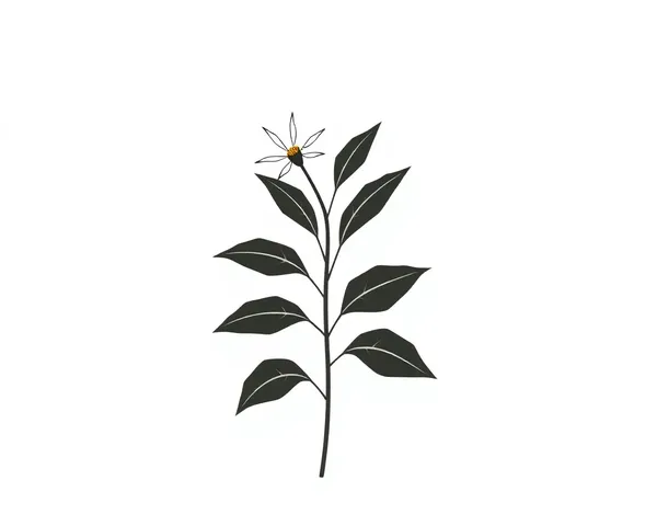 Jodavi's Minimalist Botanical Illustration with Stylized Leaves