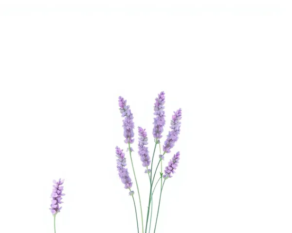 Lavender iPhone Icons on Stylized Home Screen