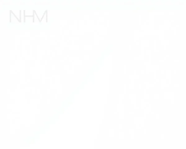 Minimalist NHM Logo Design in Simple White