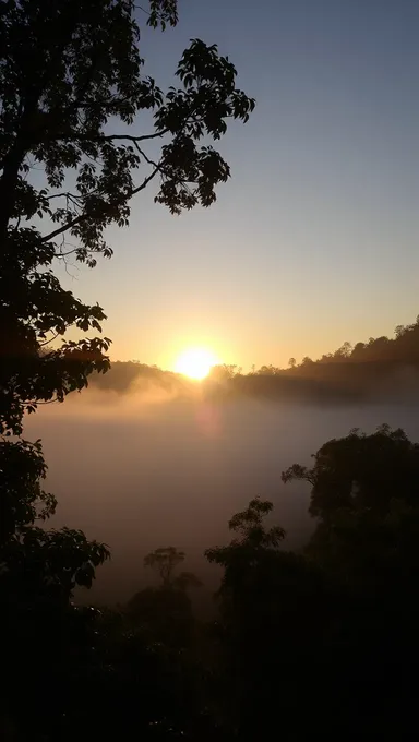 Misty Dawn Breaks Over Rainforest's Canopy