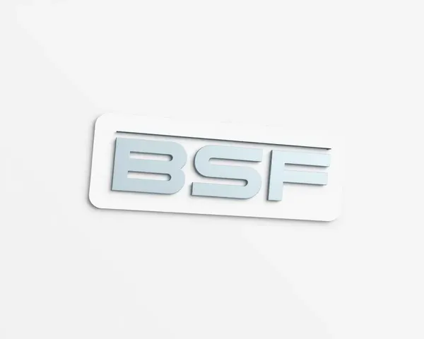 Modern Stylized BSF Logo in Rectangular Shape