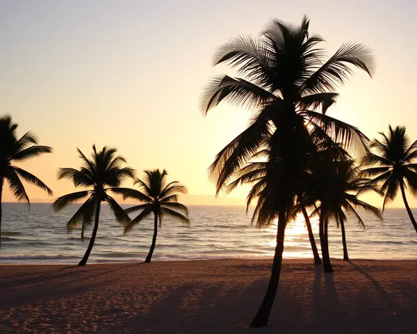 Peaceful Beach Scene with 1280x720 Pixel Warm Golden Background