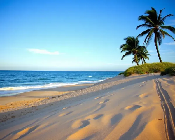 Peaceful Beach Scene with Serene Blue Ocean Wallpaper