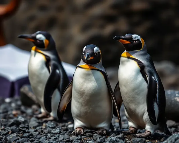 Penguin Images Display Playful and Curious Nature