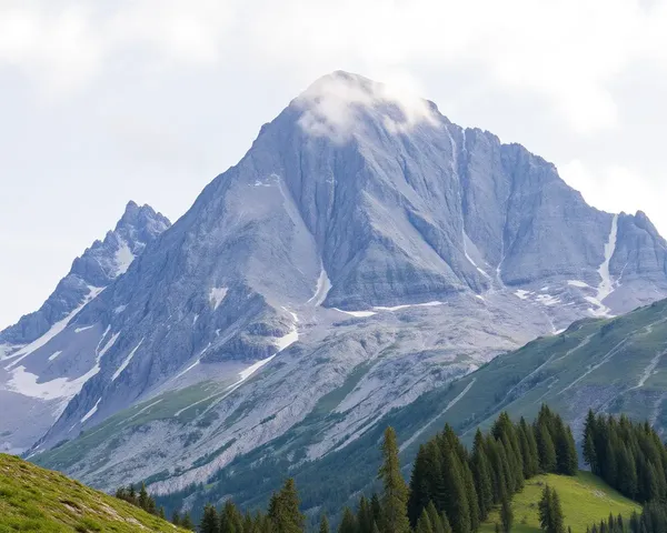 Picture of a Towering Mount