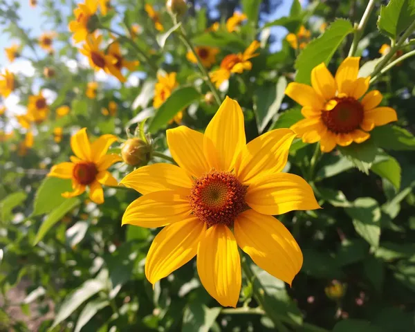 September Images of Nature's Beauty and Serenity