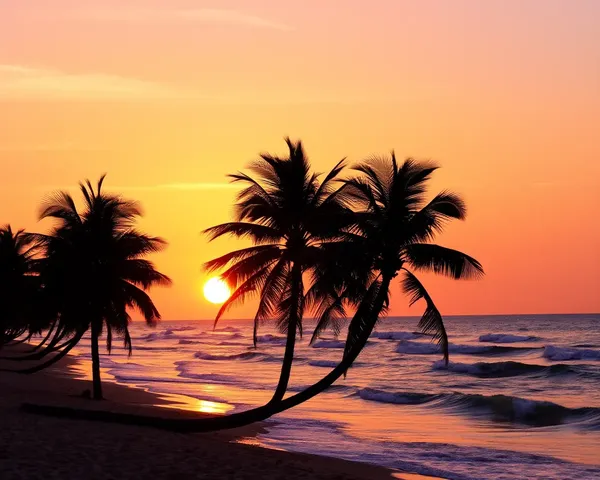 Serene Beach Scene with Palm Trees and Sunset HD